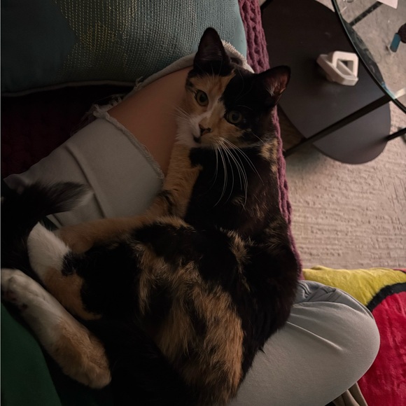 michelleismad